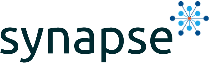 NVK_logo_synapse_DIY